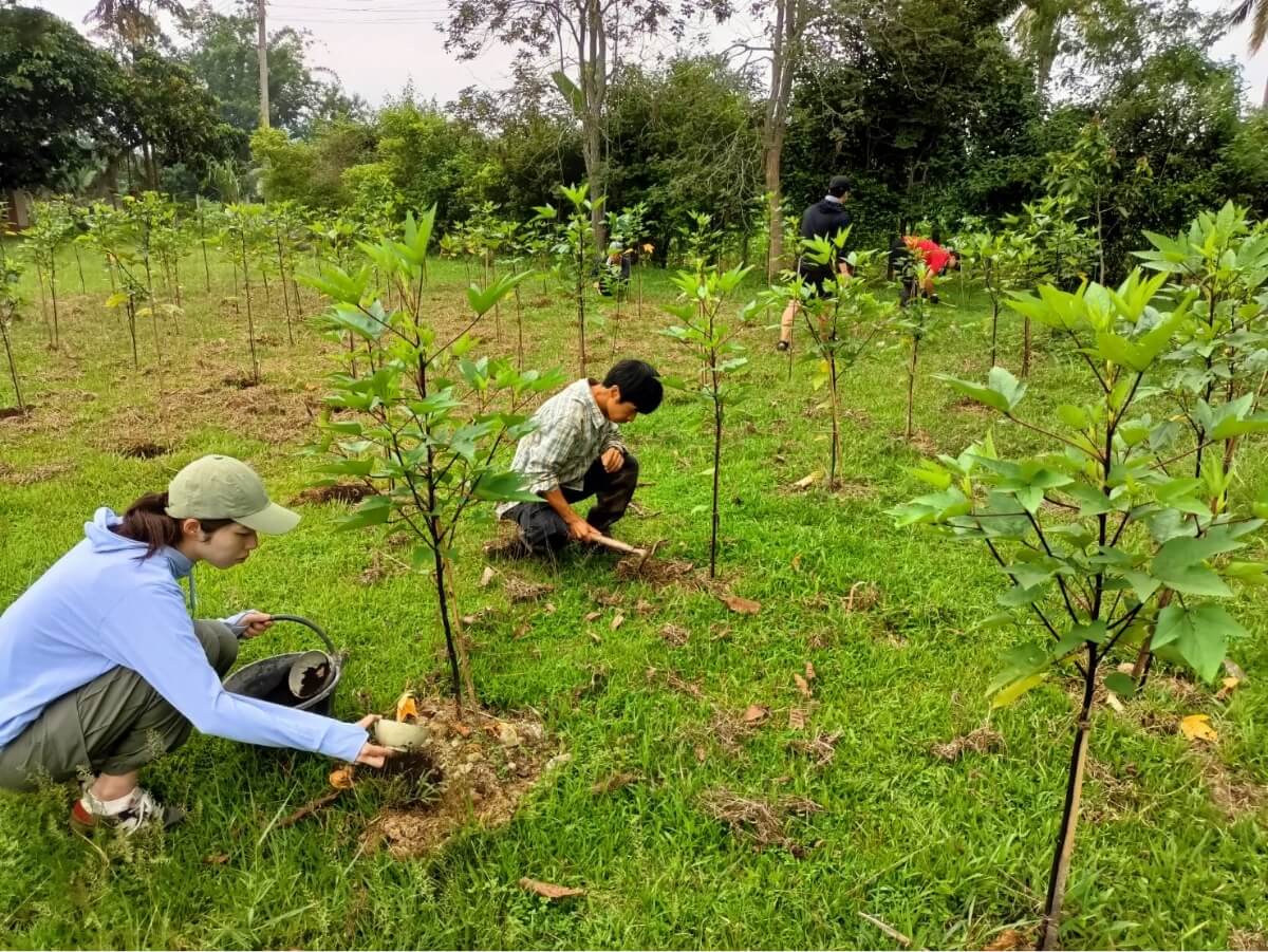 タイでの農業インターン。山岳少数民族の方々に教えていただきながら、アボカド、コーヒー豆、お茶の栽培をお手伝い。